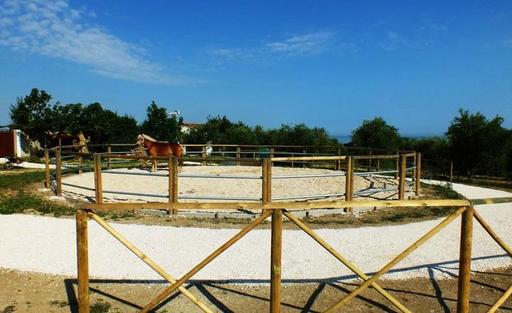 Agriturismo La Casa Della Lavanda - Il Rustico Marina di Montemarciano Eksteriør billede