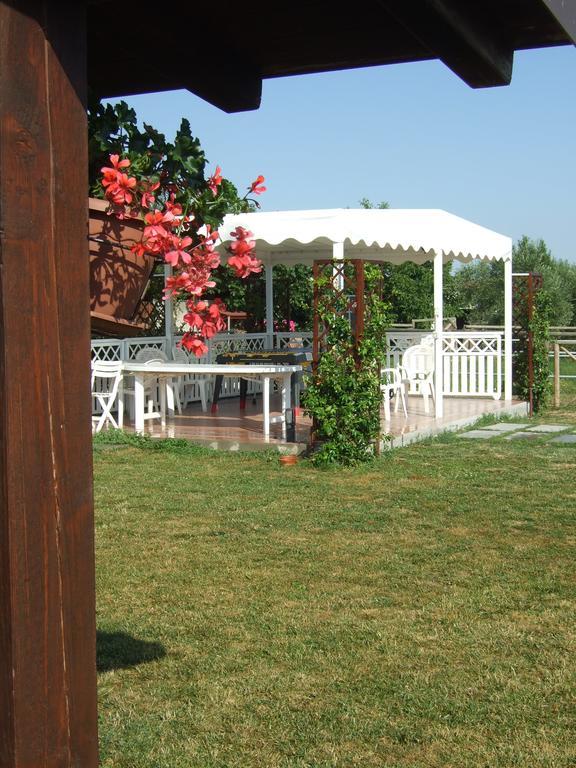 Agriturismo La Casa Della Lavanda - Il Rustico Marina di Montemarciano Eksteriør billede